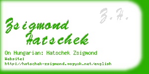 zsigmond hatschek business card